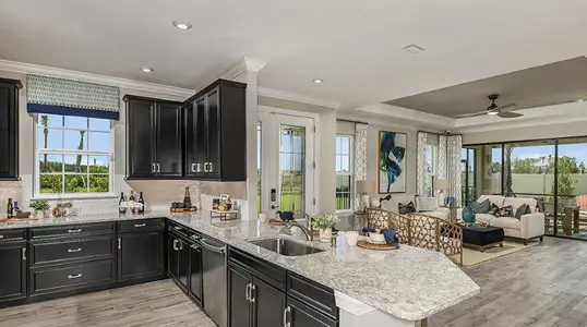 New construction Single-Family house 29525 Velletri Ln, Wesley Chapel, FL 33543 Arezzo- photo 8 8