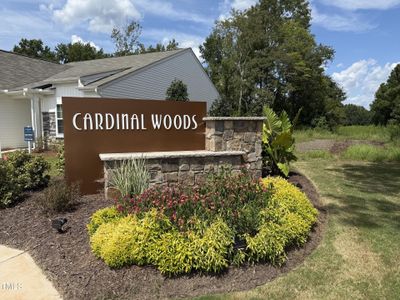 New construction Single-Family house 1320 Pond Overlook Dr, Nashville, NC 27856 - image