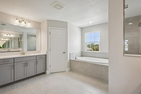 Waterset by Homes by WestBay in Apollo Beach - photo 33 33