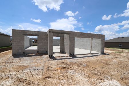 New construction Single-Family house 12219 Hilltop Farms Dr, Dade City, FL 33525 Malibu- photo 9 9