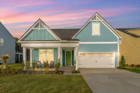New construction Single-Family house 223 Summer Tanager Dr, Ravenel, SC 29470 - image