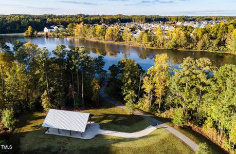 New construction Single-Family house 167 Blue Butterfly Drive, Angier, NC 27501 Stella- photo 30 30