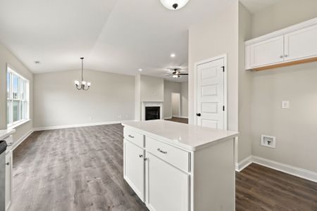 New construction Single-Family house 336 Gerbera Ct, Greenville, NC 27858 plan Sumner - image 10