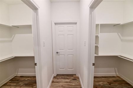 Spacious closet with dark wood-type flooring