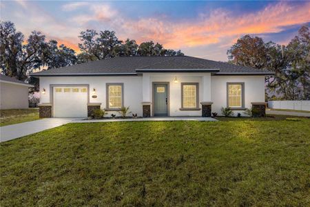 New construction Single-Family house 15201 Se 61St Ct, Summerfield, FL 34491 - image