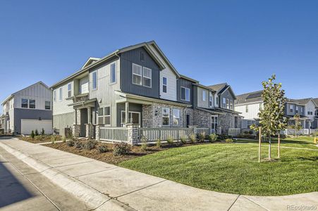 New construction Townhouse house 5523 Euclid Ct, Timnath, CO 80547 null- photo 14 14