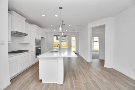 New construction Single-Family house 24935 Vervain Meadow Trl, Katy, TX 77493 plan Rutgers - image 5