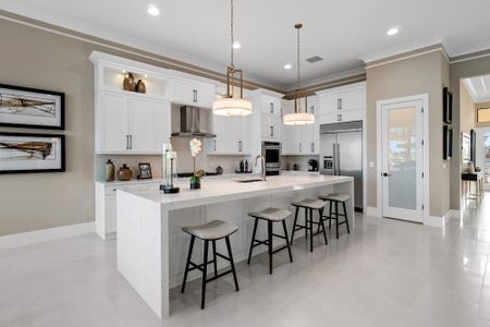 Coral Isles at Avenir by Kenco Communities in Palm Beach Gardens - photo 49 49