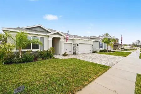 New construction Single-Family house 23122 Scaglione Dr, Lutz, FL 33549 plan Camden - image