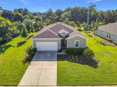 New construction Single-Family house 2183 Raglan Cir, Ormond Beach, FL 32174 - image