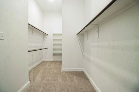 New construction Single-Family house 4204 Ruby Eleanor Dr, Pflugerville, TX 78660 Adams 4123- photo 11 11