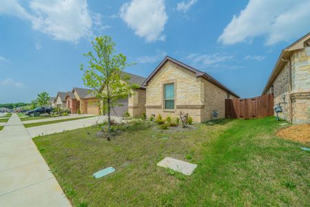 New construction Single-Family house 1057 Nighthawk Trl, Alvarado, TX 76009 - image