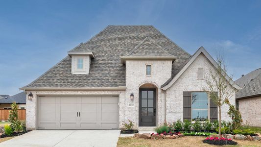 New construction Single-Family house 2832 Buckingham Ln, Celina, TX 75009 plan 2504W - image