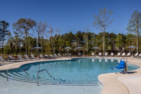 New construction Single-Family house 1808 Angelonia Way, Fuquay Varina, NC 27526 null- photo 27 27