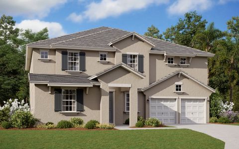 New construction Single-Family house 14213 Crest Palm Ave, Windermere, FL 34786 plan Sweetwater - image