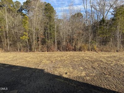 New construction Single-Family house 459 Hillard Ln, Wendell, NC 27591 - image 18