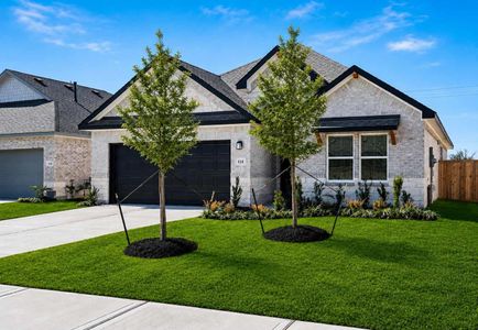 New construction Single-Family house 418 Dorion Lagoon Dr, Crosby, TX 77532 - image