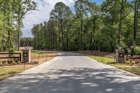 New construction Single-Family house 219 Green Pines Estates Dr, Kenly, NC 27542 null- photo 2 2