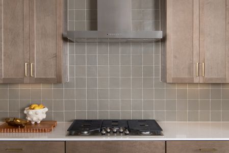 New construction Single-Family house 119 Coleto Tr, Bastrop, TX 78602 plan Cheyenne II - image 17