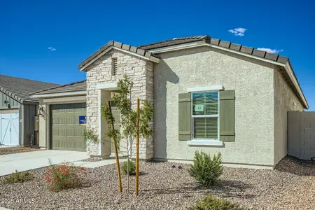 New construction Single-Family house 36892 W Santa Maria St, Maricopa, AZ 85138 plan Goldenrod II - image