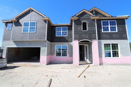 New construction Single-Family house 1971 Drummond Pt, Zephyrhills, FL 33541 Grandsail  III- photo 22 22