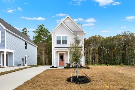 New construction Single-Family house 173 Crown St, Hardeeville, SC 29927 plan Parker Quick Move-In - image