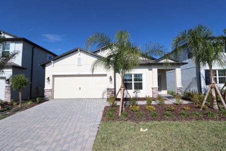 New construction Single-Family house 4763 Beachrose Way, Lakeland, FL 33811 Picasso- photo 14 14