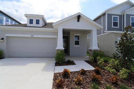 New construction Single-Family house 6026 Hidden Branch Dr, Apollo Beach, FL 33572 The Nightingale- photo 0