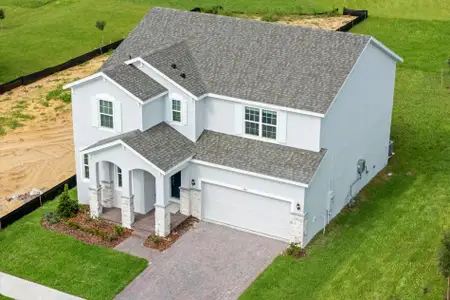 New construction Single-Family house 1652 Hamlin Ridge Rd, Minneola, FL 34715 plan Newcastle - image