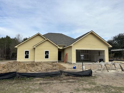 New construction Single-Family house 1081 Irving Manigault Rd, McClellanville, SC 29458 - photo 0