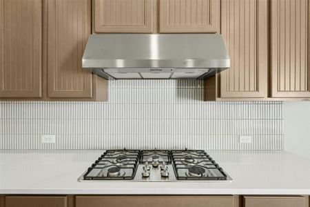 New construction Single-Family house 19712 Zook Rd, Pflugerville, TX 78660 - image 17