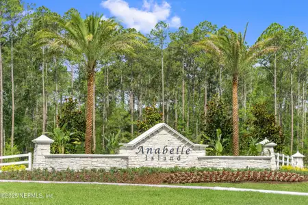 New construction Single-Family house 2967 Monroe Lakes Ter, Green Cove Springs, FL 32043 - image