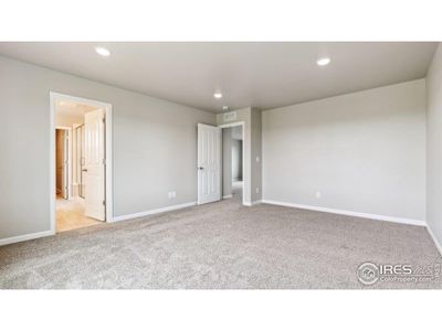 New construction Single-Family house 16815 Mckay Dr, Mead, CO 80542 plan Jansen - image 16