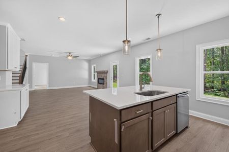 New construction Single-Family house 113 Southview Dr, Ellenwood, GA 30294 - image 6
