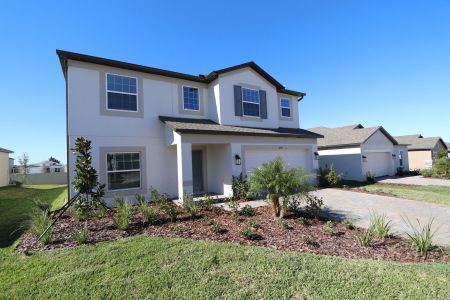 New construction Single-Family house 12219 Hilltop Farms Dr, Dade City, FL 33525 Malibu- photo 172 172