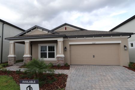 New construction Single-Family house 33227 Amling Pecan Br, Wesley Chapel, FL 33545 Newport II- photo 84 84