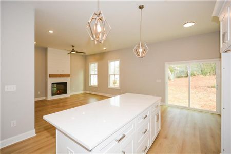 New construction Single-Family house 192 Pecan Dr, Canton, GA 30114 null- photo 19 19