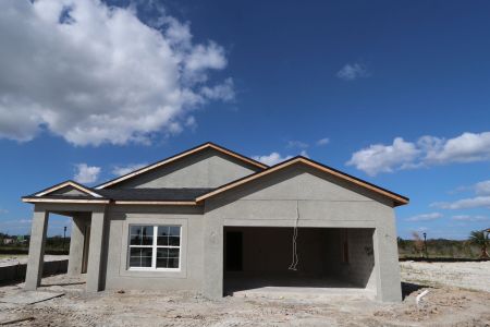 New construction Single-Family house 31229 Denham Ridge Ln, Wesley Chapel, FL 33545 Newport II- photo 7 7