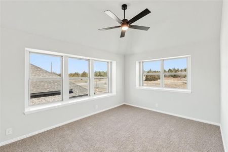 New construction Single-Family house 117 Red Cedar Ct, Balch Springs, TX 75181 null- photo 22 22