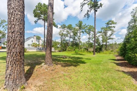 New construction Single-Family house 465 Lesesne Street, Charleston, SC 29492 - photo 21 21