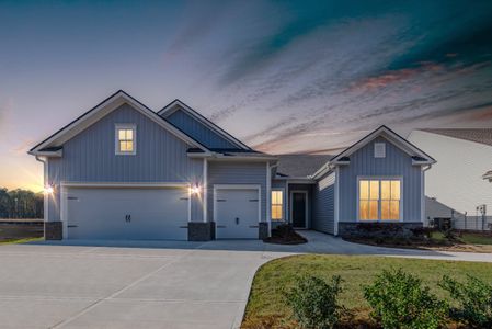 New construction Single-Family house 20 Peach Blossom Ct, Bluffton, SC 29909 plan Porto - image