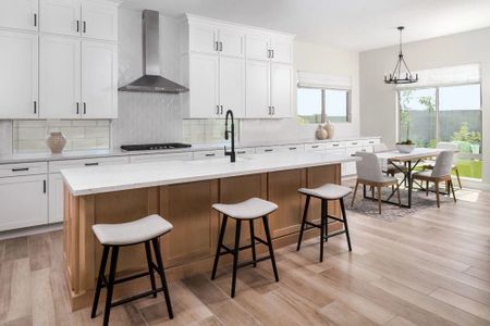 Tobiano at Wales Ranch 13