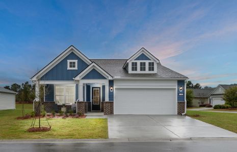 New construction Single-Family house 48 Scarlet Sage Dr, Bluffton, SC 29910 plan Mystique - image