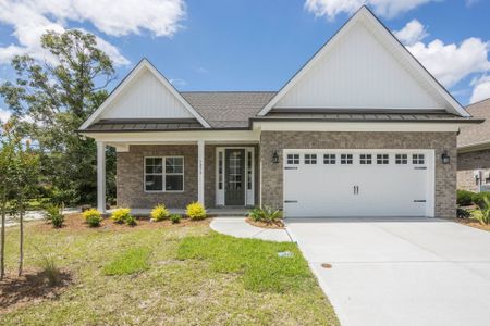 Plantation Harbor Havelock by American Homesmith in Land O' Lakes - photo 1 1