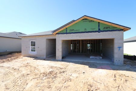 New construction Single-Family house 12263 Hilltop Farms Dr, Dade City, FL 33525 Sentinel- photo 34 34