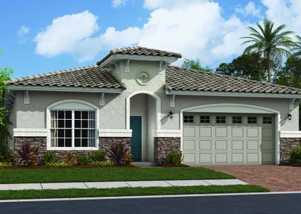 New construction Single-Family house 20344 Kinnan St, Tampa, FL 33647 null- photo 0