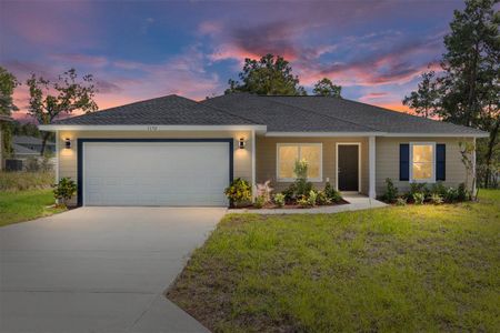New construction Single-Family house 24303 Sw Sailboat Dr, Dunnellon, FL 34431 - image