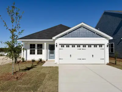 New construction Single-Family house 3103 Hallsdale Dr, Elgin, SC 29045 plan Brunswick - image