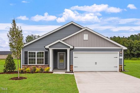 New construction Single-Family house 9120 Ava Drive, Bailey, NC 27807 Blanco- photo 0