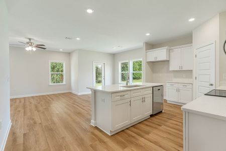 New construction Single-Family house Defuniak Springs, FL 32433 plan Elizabeth - image 5